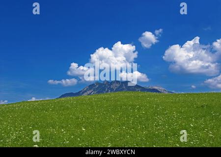 Paysage avec prairie verte, ciel bleu et blanc beau cumulus humilis nuages dans les alpes allemandes, Mont Soiernspitze en arrière-plan, près de Klais, Banque D'Images