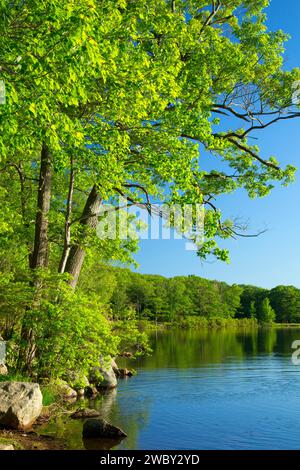 Lake Shannatati, Harriman State Park, New York Banque D'Images