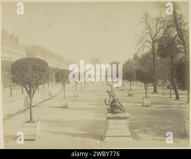 Jardin de Tuileries à Paris avec des arbres en pots et une image, vue vers le Louvre, x phot., C. 1880 - c. 1900 photographie partie de l'album de voyage avec des photos de sites en France, Grèce et Turquie. Papier jardin Tuileries. support photographique albumen print jardins publics, parc (+ ville(-paysage) avec figures, personnel). Pièce de sculpture, reproduction d'une pièce de sculpture (+ sculpture) jardin des Tuileries Banque D'Images