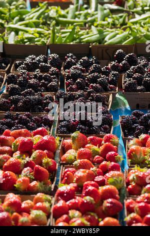 Carmel, Californie, États-Unis - 14 décembre 2023 exposition de fruits au marché hebdomadaire des fermiers/de rue de CarmelÕs sur la 6e rue par Devendorf Park Banque D'Images