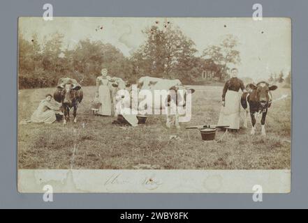 Paysan traite des vaches dans un pré, anonyme, 1903 photographie pays-Bas soutien photographique traite. professions  bétail. Agriculteurs - AA - agricultrice, épouse de fermier Banque D'Images