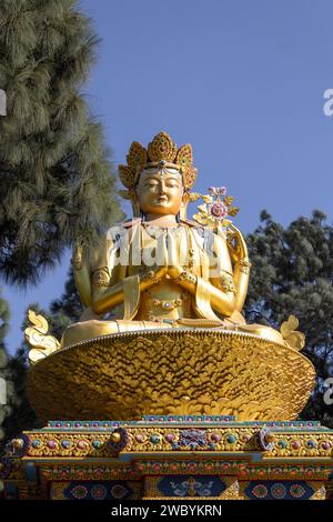 Les statues de Bouddha d'or dans le parc de Bouddha, la région de Swayambhunath, Katmandou, Népal, le site du patrimoine mondial déclaré par l'UNESCO Banque D'Images