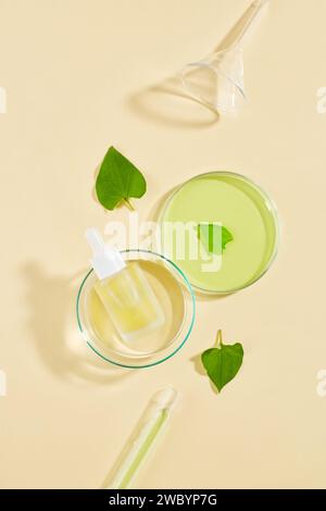 Deux boîtes de Pétri contenant un flacon compte-gouttes sans marque et un liquide vert. Pose à plat. Le taux de sucre dans le sang peut être abaissé en mangeant de la menthe de poisson crue Banque D'Images