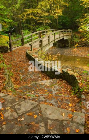 Trail Bridge, Robert H Treman State Park, New York Banque D'Images