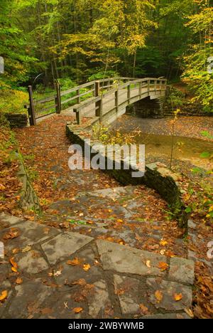 Trail Bridge, Robert H Treman State Park, New York Banque D'Images