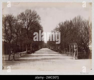 Viale delle Cascine à Florence, Brogi (attribué à), c. 1870 - c. 1890 photographie partie de Reisalbum avec des photos de sites à Gênes, Florence et Venise. Papier Florence. chemin ou allée de forêt d'impression d'albumen de support photographique. Jardins publics, parc Florence Banque D'Images