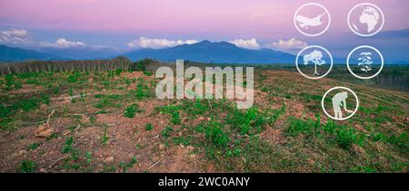 Ressources pédagogiques sur le tourisme et l'agriculture, plantation de caoutchouc, préparation de la zone pour la culture de caoutchouc, Panorama Banque D'Images