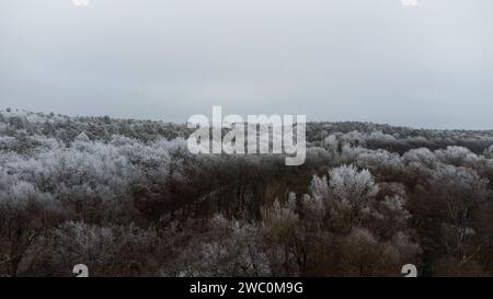 Hiver à Berlin Grunewald Wannsee Drone Shots Banque D'Images