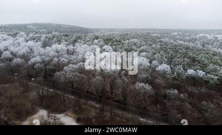 Hiver à Berlin Grunewald Wannsee Drone Shots Banque D'Images