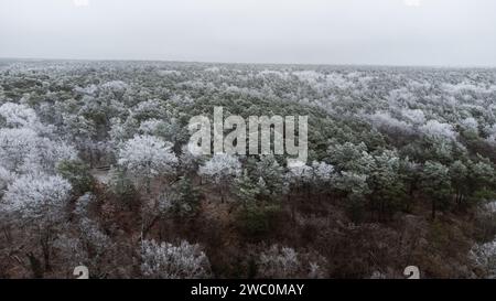 Hiver à Berlin Grunewald Wannsee Drone Shots Banque D'Images