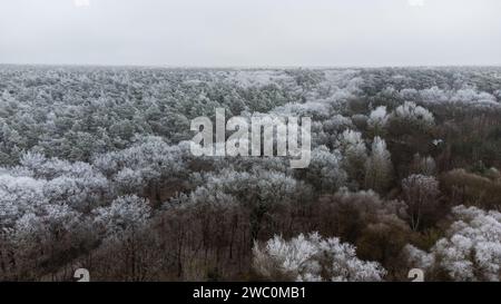 Hiver à Berlin Grunewald Wannsee Drone Shots Banque D'Images