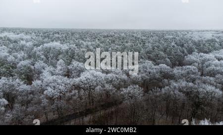 Hiver à Berlin Grunewald Wannsee Drone Shots Banque D'Images