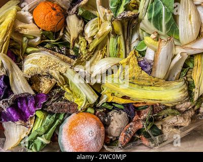 fond vert et jaune de nombreux fruits et légumes pourris Banque D'Images