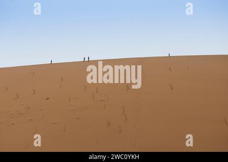 Les touristes font leur chemin le long des lignes de crête des immenses dunes de sable à Sossusvlei vers la dune Big Daddy en Namibie Banque D'Images