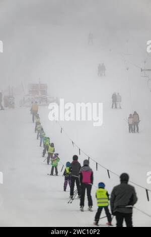 Winterberg, Allemagne. 13 janvier 2024. Avec du brouillard et des températures juste en dessous de zéro degré Celsius, les pistes de ski et de luge du domaine skiable familial Sahnehang sont bien fréquentées. Après un temps doux et humide qui a plu sur les opérateurs de remontées mécaniques dans le Sauerland pendant les vacances d'hiver, le pergélisol a finalement apporté une abondance d'activités de sports d'hiver. Pour le moment, cependant, le ski et la luge ne sont disponibles que sur des pistes enneigées artificiellement. Crédit : Henning Kaiser/dpa/Alamy Live News Banque D'Images