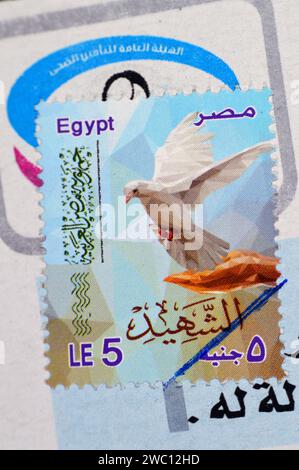 Le Caire, Egypte, janvier 10 2024 : le timbre-poste Martyr, timbre-poste martyr utilisé, République arabe d'Egypte, valeur de 5 livres égyptiennes LE pour le timbre, Banque D'Images