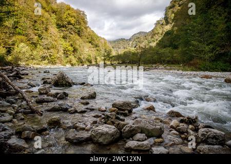 La grande rivière de montagne descend sur de grosses pierres à travers le bois Banque D'Images