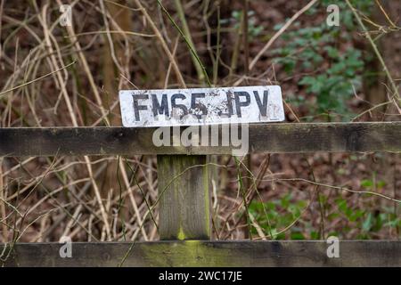 Eton, Windsor, Royaume-Uni. 13 janvier 2024. Une plaque d'immatriculation d'une voiture endommagée par une inondation. Après une semaine de graves inondations à Eton, Windsor, Berkshire, où un certain nombre de voitures ont été abandonnées dans les hautes eaux, deux routes locales qui ont été fermées toute la semaine en raison des inondations ont été rouvertes ce matin. Il reste de la boue et des débris sur les routes et il y aura maintenant un nettoyage important et coûteux par le Royal Borough of Windsor & Maidenhead. Crédit : Maureen McLean/Alamy Banque D'Images