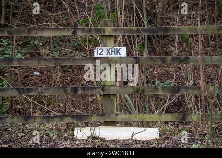 Eton, Windsor, Royaume-Uni. 13 janvier 2024. Une plaque d'immatriculation d'une voiture endommagée par une inondation. Après une semaine de graves inondations à Eton, Windsor, Berkshire, où un certain nombre de voitures ont été abandonnées dans les hautes eaux, deux routes locales qui ont été fermées toute la semaine en raison des inondations ont été rouvertes ce matin. Il reste de la boue et des débris sur les routes et il y aura maintenant un nettoyage important et coûteux par le Royal Borough of Windsor & Maidenhead. Crédit : Maureen McLean/Alamy Banque D'Images