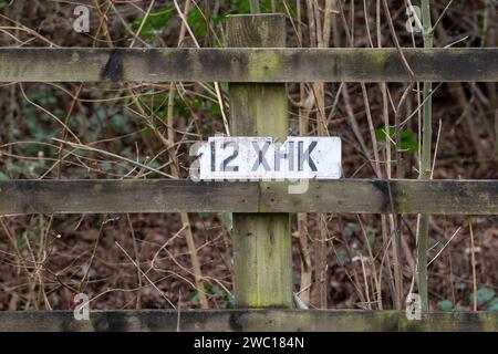 Eton, Windsor, Royaume-Uni. 13 janvier 2024. Une plaque d'immatriculation d'une voiture endommagée par une inondation. Après une semaine de graves inondations à Eton, Windsor, Berkshire, où un certain nombre de voitures ont été abandonnées dans les hautes eaux, deux routes locales qui ont été fermées toute la semaine en raison des inondations ont été rouvertes ce matin. Il reste de la boue et des débris sur les routes et il y aura maintenant un nettoyage important et coûteux par le Royal Borough of Windsor & Maidenhead. Crédit : Maureen McLean/Alamy Banque D'Images