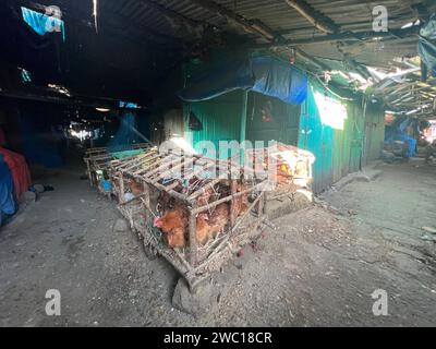 Des poulets entassés dans des cages en bois et en fil de fer sales et peu hygiéniques attendant d'être vendus au marché intérieur à Addis Abeba, Ethiopie, Afrique Banque D'Images