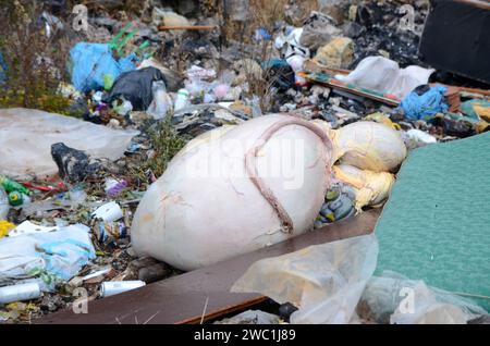 Décharge d'ordures sauvages dans la nature. Site d'enfouissement à ciel ouvert. Pile de déchets. Dumping illégal. Pollution de l'environnement. Déchets dans la zone d'enfouissement. Abats animaux Banque D'Images
