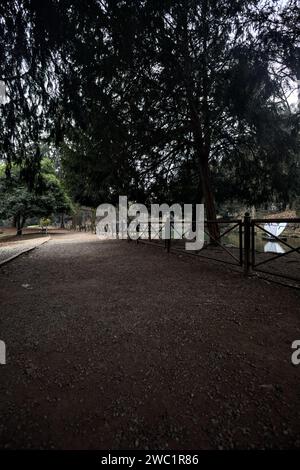 Chemin à côté d'un étang passant sous un arbre arqué dans un parc en automne par une journée nuageuse Banque D'Images