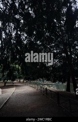 Chemin à côté d'un étang passant sous un arbre arqué dans un parc en automne par une journée nuageuse Banque D'Images