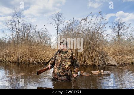 Un chasseur marche le long d'un lac envahi de roseaux, à la taille profonde dans l'eau. Il arrange des appâts en plastique pour les canards. Le chasseur a un fusil de chasse sur l'épaule. Banque D'Images