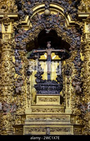 Catedral de la Asunción de la Virgen, Salamanque, comunidad autónoma de Castilla y León, Espagne Banque D'Images