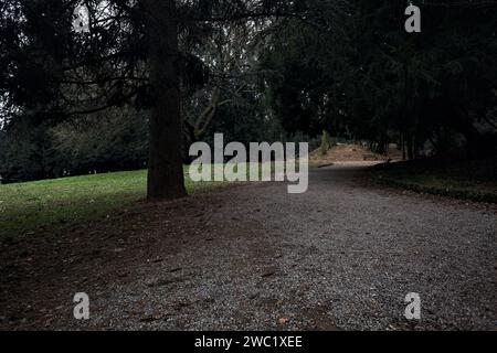 Chemin à côté d'un étang passant sous un arbre arqué dans un parc en automne par une journée nuageuse Banque D'Images