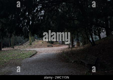 Chemin à côté d'un étang passant sous un arbre arqué dans un parc en automne par une journée nuageuse Banque D'Images