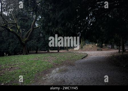 Chemin à côté d'un étang passant sous un arbre arqué dans un parc en automne par une journée nuageuse Banque D'Images