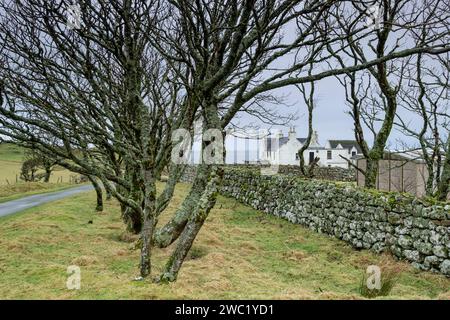 Duntulm, Skye, Highlands, Escocia, Reino Unido Banque D'Images