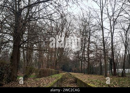 Fossé plein de feuilles tombées à côté d'un mur dans un parc en automne Banque D'Images