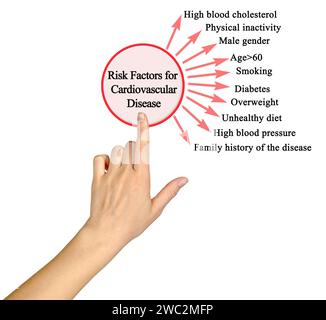 Facteurs de risque de maladie cardiovasculaire Banque D'Images
