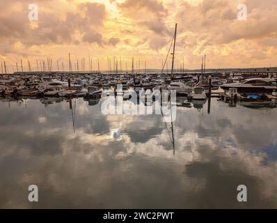 Une flotte de bateaux amarrés dans un port de plaisance, avec des eaux calmes créant une atmosphère tranquille. Torquay, Angleterre Banque D'Images