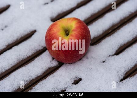 Pomme de dame rose biologique sur la table en bois couverte de neige dans le jardin. Contexte de mode de vie de pays d'alimentation saine. Banque D'Images