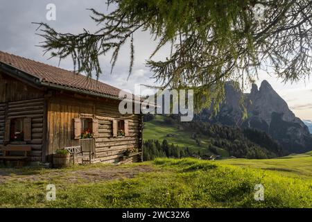 Cabane alpine sur le Seiser Alm, en arrière-plan le sommet du Schlern, Groednertal, Dolomites, Tyrol du Sud, Italie Banque D'Images