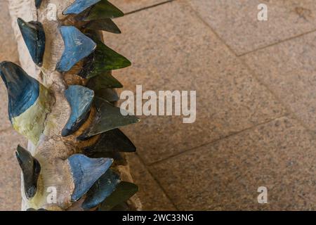 Gros plan des rangées inférieures de dents de requin préhistorique Banque D'Images