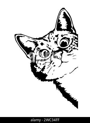 chat ludique avec ces yeux doux Banque D'Images