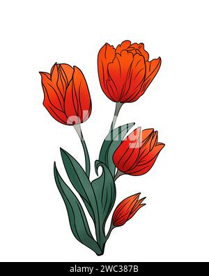 Illustration de l'aquarelle dessinée à la main ensemble de bouquet de tulipes rouges colorées isolé sur fond blanc. Fleurs printanières. Carte pour la fête des mères, 8 mars Banque D'Images