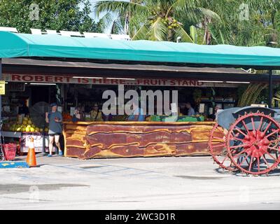 Homestead, Floride, États-Unis - 13 janvier 2024 : touristes dans le stand de fruits populaire 'Robert est ici' sur la route du parc national des Everglades. Banque D'Images