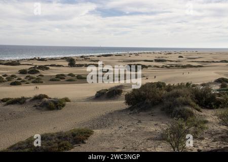 Blick vom Aussichtspunkt Mirador Dunas Santa Mónica auf die Dünen von Maspalomas nahe der Playa del Ingles, Gran Canaria, Espagne Banque D'Images