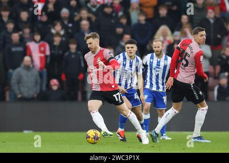 Southampton, Royaume-Uni. 13 janvier 2024. Le milieu de terrain de Southampton Stuart Armstrong (17) en action lors du Southampton FC v Sheffield Wednesday FC SKY BET EFL Championship Match au St.Mary's Stadium, Southampton, Angleterre, Royaume-Uni le 13 janvier 2024 Credit : Every second Media/Alamy Live News Banque D'Images