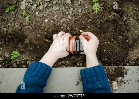 Mignon garçon en bas âge jouant avec la terre le jour du printemps. Kid plantant un semis dans une serre. Enfant explorant la nature. Activités estivales pour les petits enfants. Banque D'Images