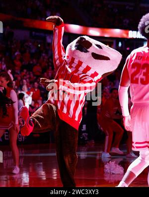 Madison, WISCONSIN, États-Unis. 13 janvier 2024. La mascotte des Badgers du Wisconsin Bucky Badger lors du match de basket-ball de la NCAA entre les Wildcats du Nord-Ouest et les Badgers du Wisconsin au Kohl Center de Madison, WISCONSIN. Darren Lee/CSM/Alamy Live News Banque D'Images