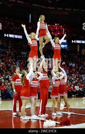 Madison, WISCONSIN, États-Unis. 13 janvier 2024. Les Wisconsin Badgers cheerleaders lors du match de basket-ball de la NCAA entre les Wildcats du Nord-Ouest et les Wisconsin Badgers au Kohl Center de Madison, WISCONSIN. Darren Lee/CSM/Alamy Live News Banque D'Images