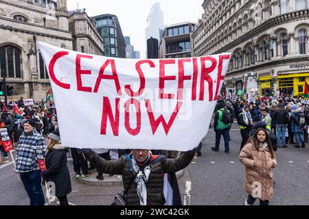 Londres, Royaume-Uni. 13 janvier 2024. Un manifestant pro-palestinien tenant une banderole sur laquelle on peut lire "cessez-le-feu maintenant" participe à une Journée mondiale d'action pour appeler à un cessez-le-feu immédiat à Gaza. La marche, de la ville de Londres à Westminster, était organisée par Palestine Solidarity Campaign, Stop the War Coalition, Friends of Al-Aqsa, Muslim Association of Britain, Palestinian Forum in Britain et CND. Crédit : Mark Kerrison/Alamy Live News Banque D'Images