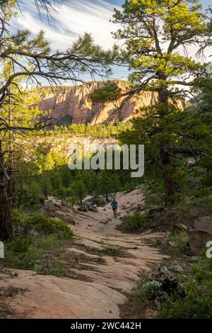 Un randonneur grimpe Hill le long de Connector Trail dans le parc national de Zion Banque D'Images